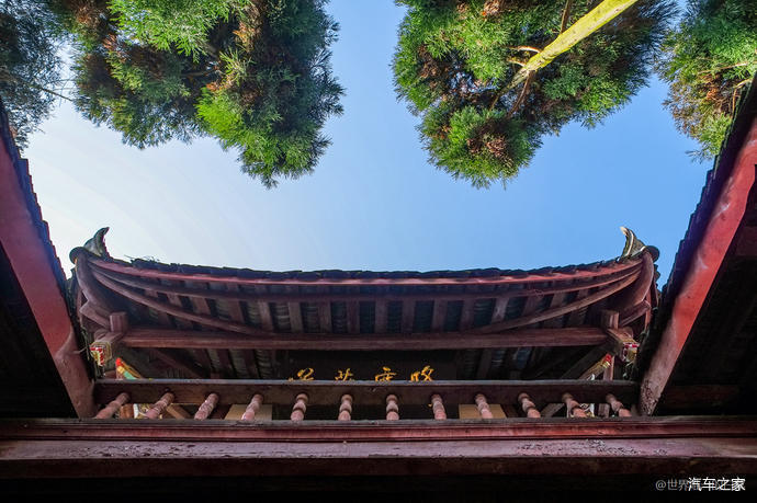 旅游博主在青城山学猴哥打卡 旅游博主在青城山学猴哥打卡
