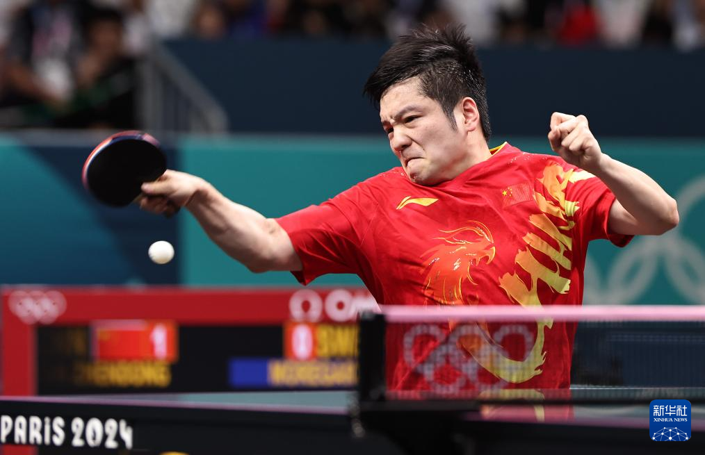 中国男乒乓球世界冠军,荣耀与传承 中国男乒乓球世界冠军,荣耀与传承