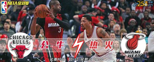 NBA常规赛，热火VS公牛，一场激情四溢的较量